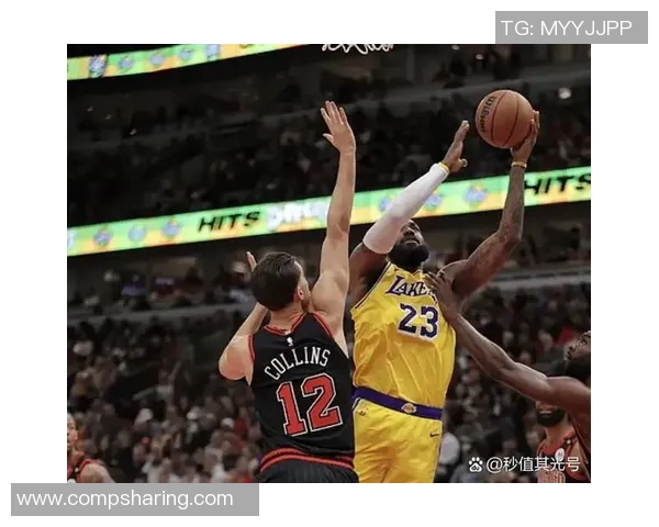 2020年NBA季后赛鹈鹕对决湖人精彩回顾与赛季分析